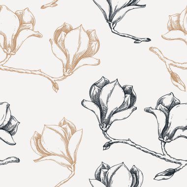 Magnolia geçmişi. Çiçek açan ağaç dalları eskizler. Manolya elle çizilmiş vektör çizimi. Yay pürüzsüz desen. Yapay zeka oluşturulmadı