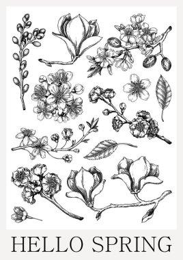 Bahar posteri tasarımı. Çiçekli şubelerin çizimleri. El yapımı botanik çizimi. Çiçek desenli. Yapay zeka oluşturulmadı