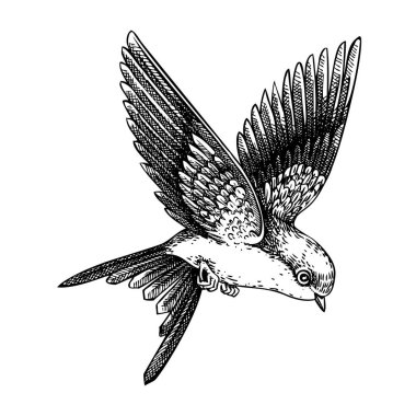 Dekoratif yutma hareketi. El çizimi vektör çizimi. Vintage uçan kuş. Yapay zeka oluşturulmadı