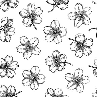 Sakura çiçek deseni. Kiraz çiçeği arkaplanı. Çiçek çizimleri. Çiçeksiz tasarım. El çizimi vektör çizimi. Yapay zeka oluşturulmadı