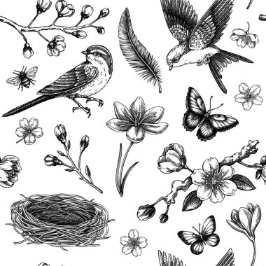 Bahar arka planı. Uçan kuşlar, sakura çiçekleri, kuş evi, safran vektör çizimleri. Paskalya tasarımı. Yapay zeka oluşturulmadı