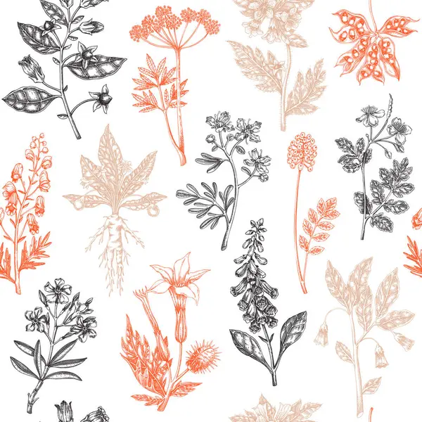 Cadı otları kusursuz desen. Bohem geçmişi. Zehirli bitkiler ve çiçek tasarımı. Yapay zeka oluşturulmamış Vektör illüstrasyonu.