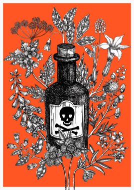 Cadılar Bayramı poster tasarımı. Cadı partisi daveti şablonu. Cadılık geçmişi. Antika eczacı kartı şablonu. Zehirli bitkiler elle çizilmiş. Yapay zeka oluşturulmamış Vektör illüstrasyonu.