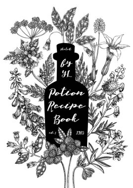 Büyücülük kitabı kapağı tasarımı. Cadı şifalı bitkiler. Antika eczacı posteri, el ilanı, kart şablonu. Zehirli bitkiler elle çizilmiş. Yapay zeka oluşturulmamış Vektör illüstrasyonu.