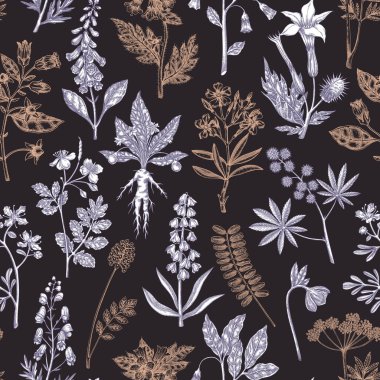 Cadı otları kusursuz desen. Zehirli bitkilerin geçmişi. Eczacı bitkileri elle çizilmiş vektör çizimi. Bohem tasarımı. Yapay zeka oluşturulmamış Vektör illüstrasyonu.