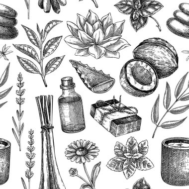 Spa arka plan tasarımı. Sağlıklı ve pürüzsüz. Şifalı bitkiler, çiçek elementleri, doğal malzeme taslakları. El çizimi vektör çizimi. Vektör illüstrasyonu.