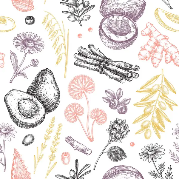 Tıbbî bitkiler pürüzsüz. Doğal malzemeler. Eskiz tarzında organik kozmetik tasarımı. Yapay zeka oluşturulmamış Vektör illüstrasyonu.