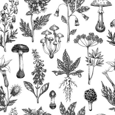 Cadı otları ve zehirli mantarlar. Zehirli bitkilerin geçmişi. El çizimi vektör çizimi. Bohem tasarımı. Yapay zeka oluşturulmamış Vektör illüstrasyonu.