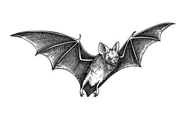 paket çerçeve 1 kolajı