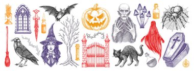 Cadılar Bayramı vektör çizimleri ayarlandı. Cadı, vampir, canavarlar, balkabağı kafası çizimleri. Gotik tasarım elementleri. Yapay zeka oluşturulmamış Vektör illüstrasyonu.