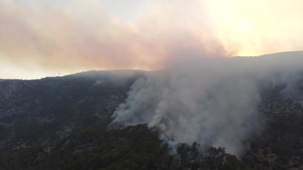 夏天的森林大火森林大火的烟雾遮蔽了太阳 自然灾害 空中景观 — 图库视频影像