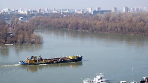 Cargo Ship Sailing River Bulk Carrier Sails Sava River Belgrade — Wideo stockowe