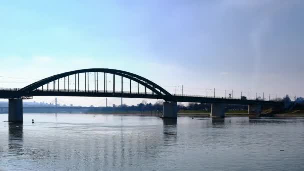 Caducidad Del Tráfico Puente Old Sava Belgrado Serbia — Vídeos de Stock