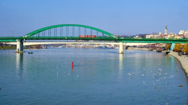 Sırbistan 'ın başkenti Belgrad' daki Old Sava köprüsünden tramvay geçiyor. Nehrin yukarısındaki martılar. Old Sava köprüsünün ve nehir kenarının görüntüsü