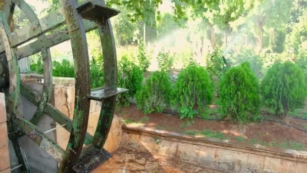 Roterende Watermolen Watersproeier Een Park Automatisch Besproeiingssysteem Water Gazon Een — Stockvideo