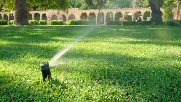 春の水緑の芝生 公共公園で自動芝生散水スプリンクラー 庭用灌漑システム — ストック動画