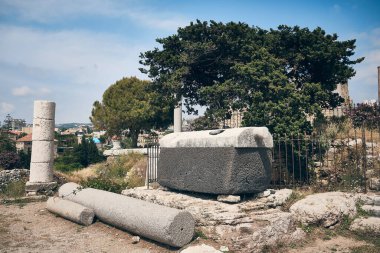 Arkaplanda Lübnan sedirinin karşısındaki antik lahitin önünde sütun duruyor. Astarte Tapınağı (Venüs) antik Byblos şehrinde. Jbeil, Lübnan. UNESCO Dünya Mirası