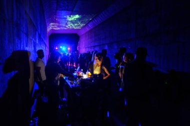 Underground disco party. Flashing lights and defocused silhouettes of people on a dance party