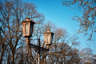 Yapraksız ağaçların ve kış parkındaki berrak mavi gökyüzünün zeminine konmuş iki fenerle süslenmiş klasik sokak lambası.