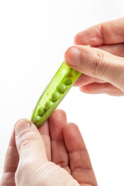 İki el dikkatle aç yeşil bezelye kabuğunu beyaz bir sırtüstü