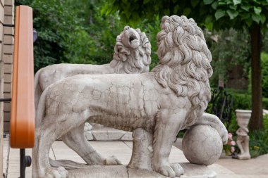 Two ancient sculptures of lions are set on stone steps in the summer garden against the backdrop of green foliage. Left paw rests on the bal