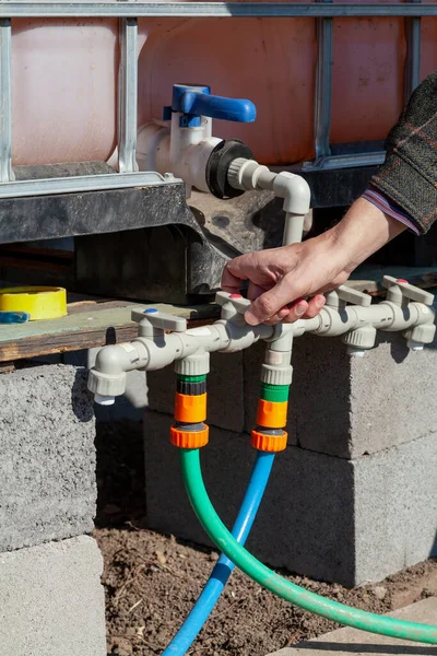 Irrigation system management. A hand opens a tap on the plastic pipes of the garden watering system. A container with water is installed above the pipe