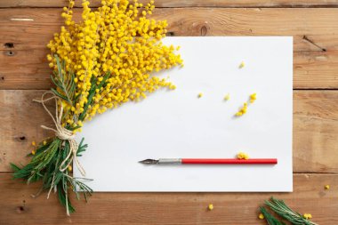 Romantik bahar yazma için ayarlayın. Bir buket sarı Mimoza ve vintage mürekkep kalem beyaz pape bir sayfasına yalan