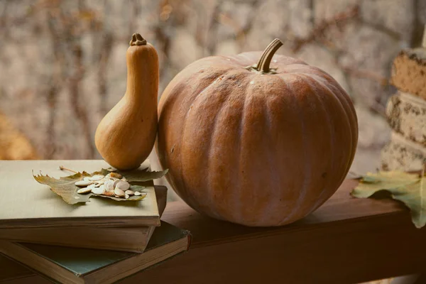 Beautiful Romantic Autumn Still Life Two Pumpkins Different Shapes Stack — Stock Photo, Image