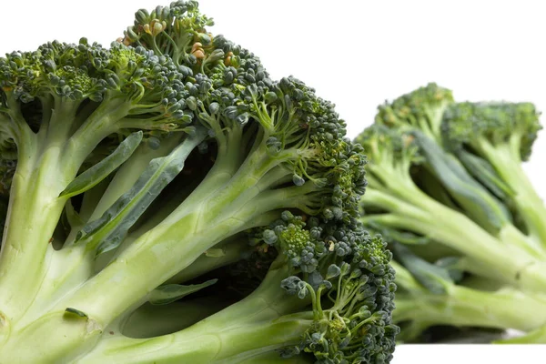 Two heads of green broccoli with dense clusters of small buds lie on a white background. Close-up. Looks like fallen tree