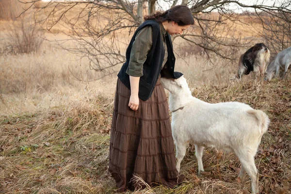 Женщина Пастух Сельской Местности Пасет Коз Осенних Просторах Природы Белая — стоковое фото
