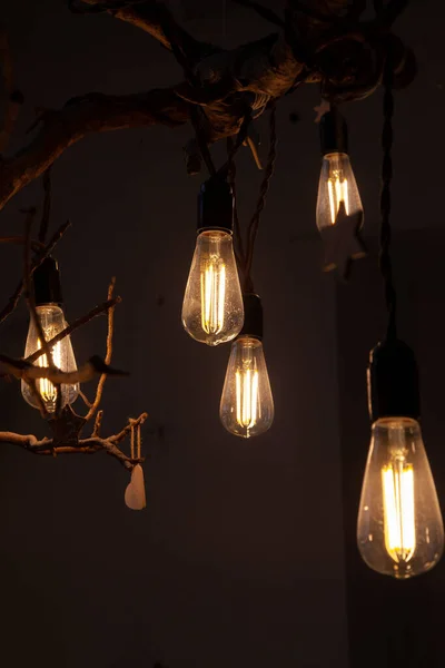 에디슨 필라멘트 램프의 스타일은 속에서 아름답게 빛난다 장식용 나뭇가지에 — 스톡 사진
