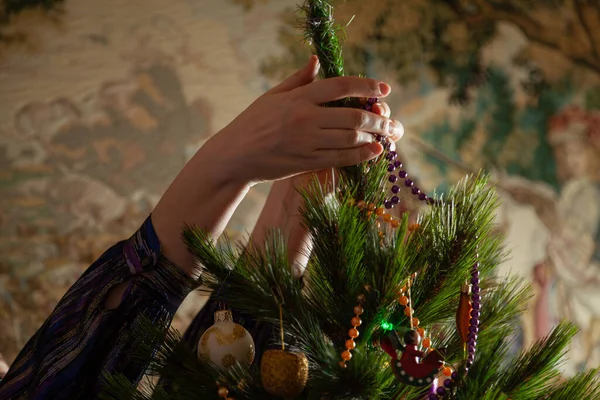 We decorate the Christmas tree. Hands hang a lilac garland of small balls on a green spruce branch close-up