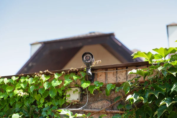 Video surveillance camera is installed on a brick fence. In the background is the roof of a modern house. Green leaves grow nearby. Bottom vie