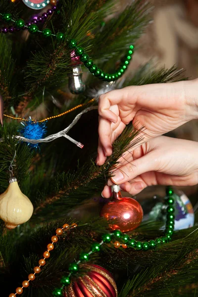 We decorate the Christmas tree. A hand hangs a toy in the form of a red ball on a green branch of a Christmas tree. Near green beads and electric garlan