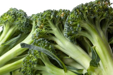 Two heads of green broccoli with dense clusters of small buds lie on a white background. Close-up. Looks like fallen tree