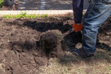 Kot pantolonlu bir adam kürekle toprağı kazıyor. Kuru otlar homurdanıyor