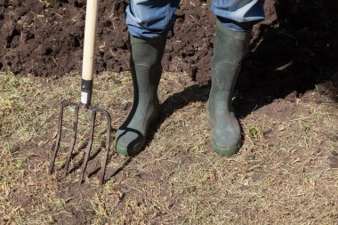 Feet in rubber boots are on the ground. Nearby are a pitchfork with four prongs. Behind a dug up piece of land. larg