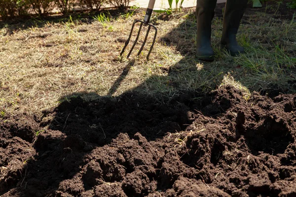 Pekerja Dalam Sepatu Karet Menggali Tanah Dengan Garpu Rumput Khusus — Stok Foto