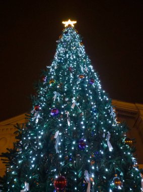 Yılbaşı ağacı şehir meydanında akşam vakti mavi ışıklarla parlar. Noel ağacının tepesinde büyük bir yıldız var. Alt yaşam