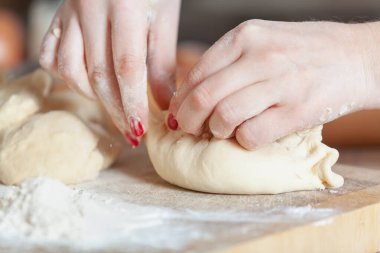 Dişi eller, çiğ turtanın yarısını yakın mesafeden tutuyor.