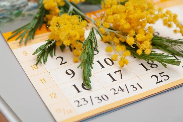 paper calendar for March with dates lies on a gray background. Above is a branch of yellow mimos