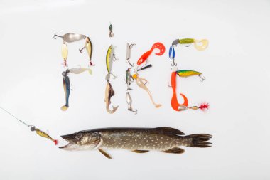 The word pike is made up of letters with a unique design of spinner, wobbler and twister on a white background. Nearby lies a pike with an open mouth. In front of her is a vibrotai clipart