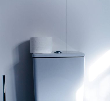 Modern banyo seramik sarnıçta tuvalet kağıdı rulosu