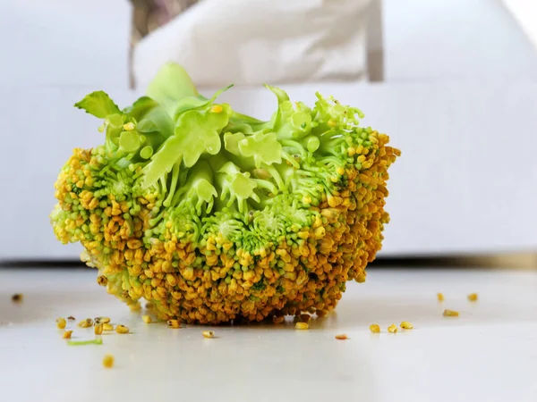 Close Makro Shot Brokoli Meja Dapur Latar Belakang Yang Tidak — Stok Foto