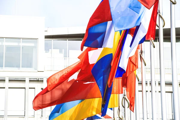 회원들은 유럽의 평화와 안정을 차분하게 축하하는 깃발을 흔들고 — 스톡 사진