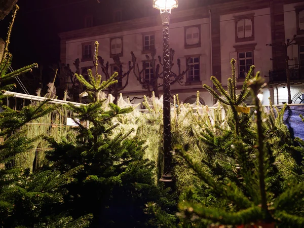 Fir Tree Χριστουγεννιάτικη Αγορά Προς Πώληση Την Νύχτα Στο Κέντρο — Φωτογραφία Αρχείου