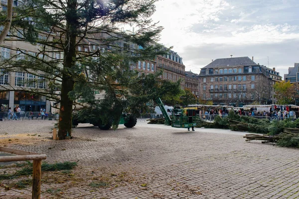 Straatsburg Frankrijk Okt 2022 Installatie Van Een Jaarlijkse Kerstboom Het — Stockfoto