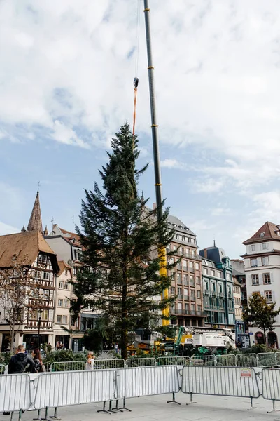 法国斯特拉斯堡 2022年10月28日 在斯特拉斯堡市中心克莱伯广场安装了圣诞树 由于能源危机 这座城市今年已经没有了一半的灯火了 — 图库照片