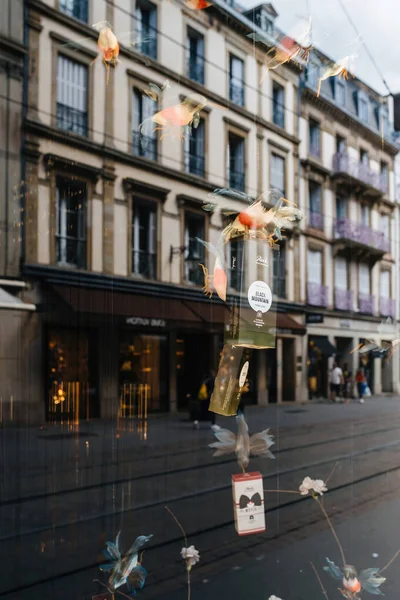 Strasburg Francja Września 2022 Kolibri Ptaków Gospodarstwa Reck Cafe Dla — Zdjęcie stockowe
