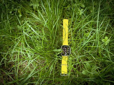 Londra, Birleşik Krallık - 23 Eylül 2022: Dayanıklılık sporu gibi uç aktiviteler için tasarlanmış yeni titanyum Apple Watch Ultra, yeşil çimenlikteki seçkin sporcular parolayı sergilenerek girdiler